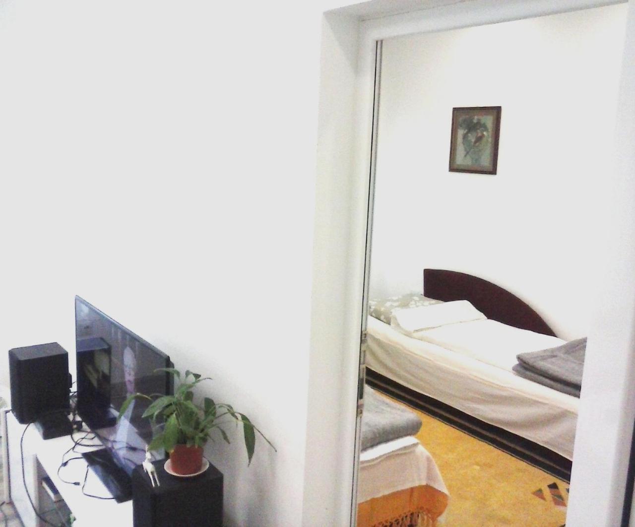 Apartman Veljic Ni エクステリア 写真